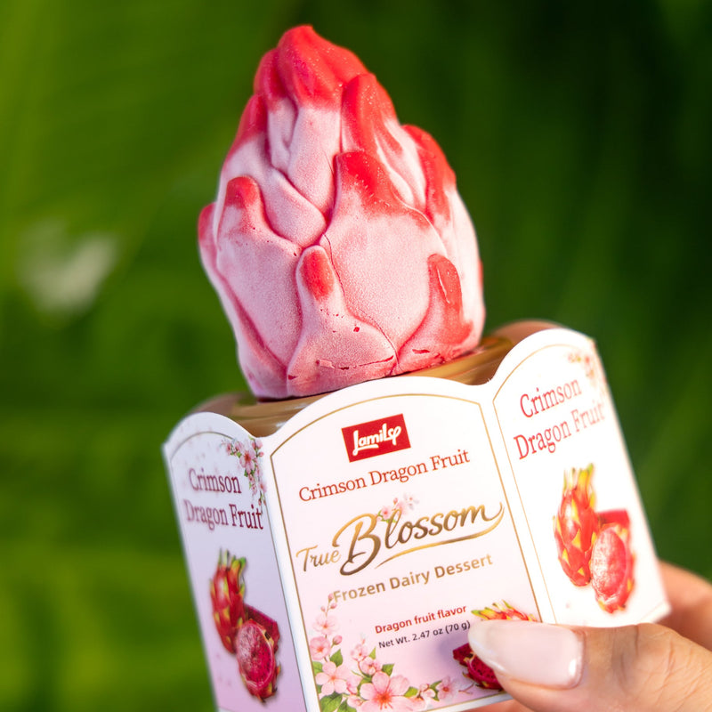 Dragon Fruit Ice Cream