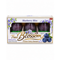 Blueberry Ice Cream — packaging — p10-0-X53.png