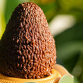 Tu Cha Avocado frozen dessert — LLB-103.jpg