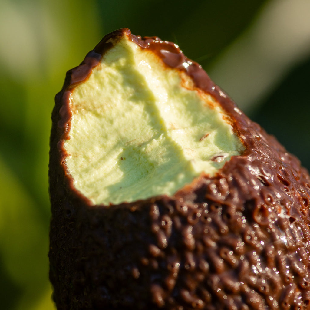 Tu Cha Avocado frozen dessert — LLB-118.jpg