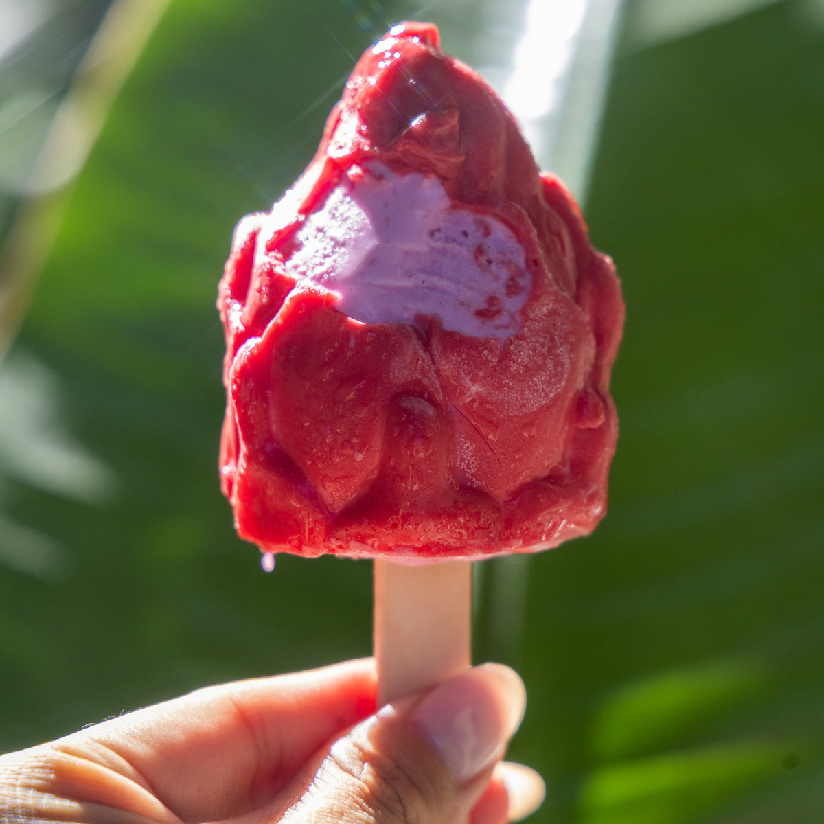Lamily Blossom dragon fruit-shaped frozen dessert — LLB-137.jpg