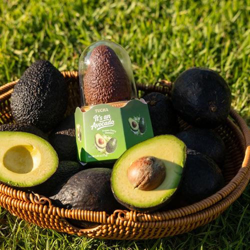 Tu Cha Avocado frozen dessert — LLB-30.jpg