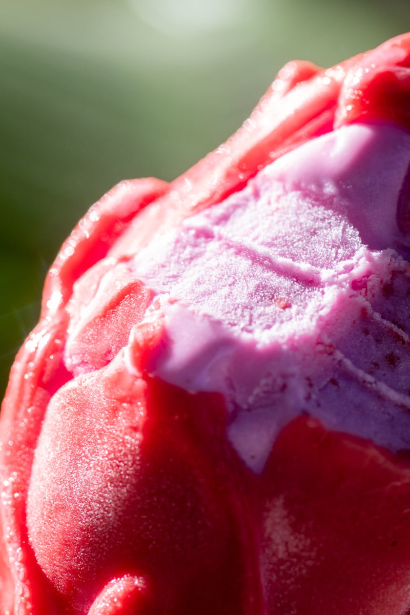 Close-up of the pink center and red shell of Lamily Dragon Fruit